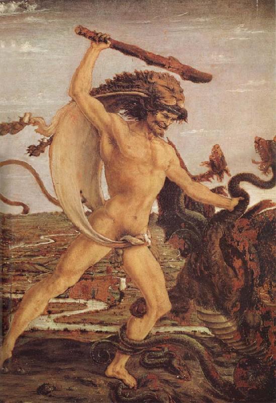 Antonio del Pollaiuolo Hercules and the Hydra oil painting picture